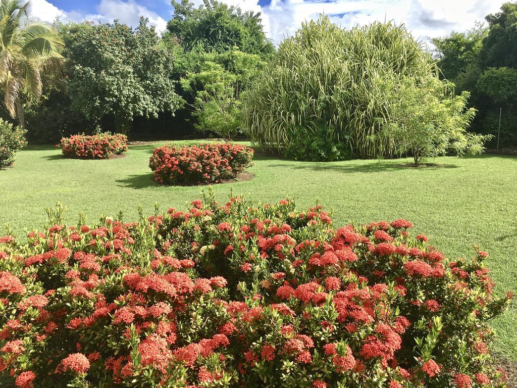 Residence Le Vallon Guadeloupe Parc Piscine Appartements & Studios & Services Hoteliers A La Carte Saint-Francois  Exterior photo